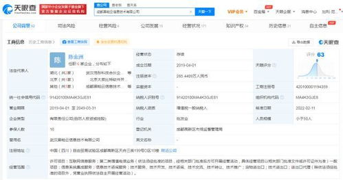 信息系統(tǒng)集成服務(wù)的全面解析與未來展望